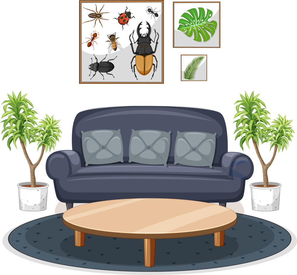 Living room furniture set on white background